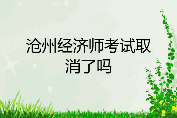 沧州经济师考试取消了吗