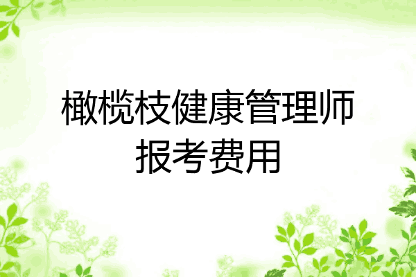 橄榄枝健康管理师报考费用