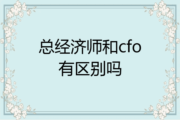 总经济师和cfo有区别吗