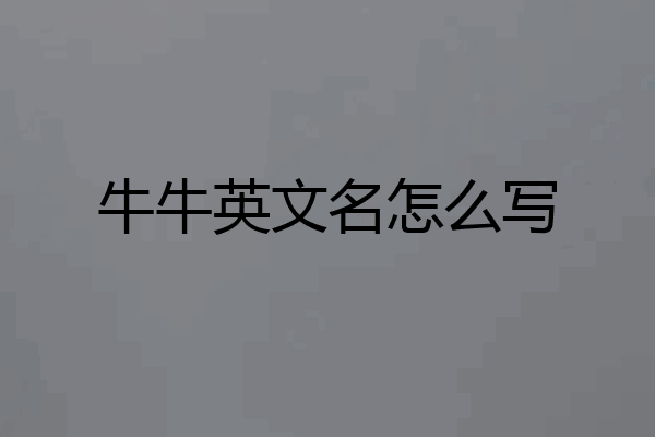 牛牛英文名怎么写
