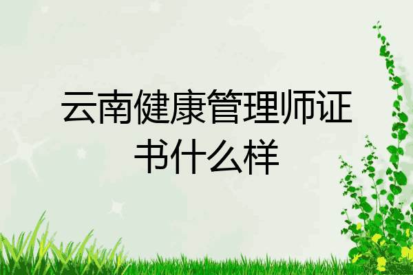 云南健康管理师证书什么样