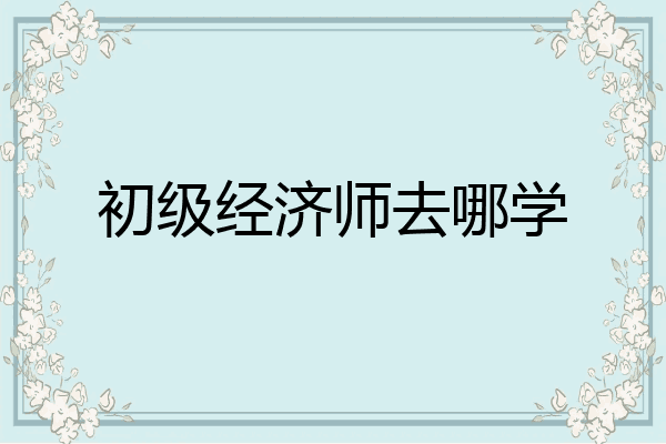 初级经济师去哪学