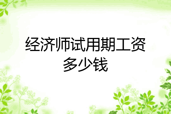 经济师试用期工资多少钱