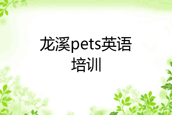 龙溪pets英语培训