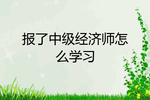 报了中级经济师怎么学习