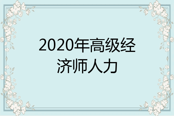 2020年高级经济师人力