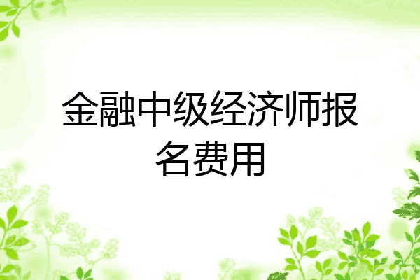 金融中级经济师报名费用
