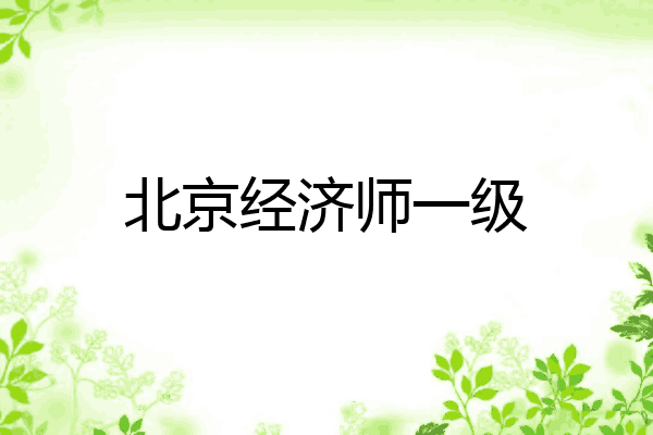 北京经济师一级