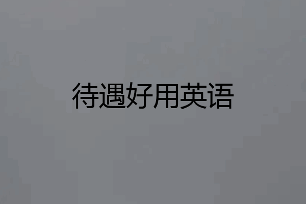 待遇好用英语