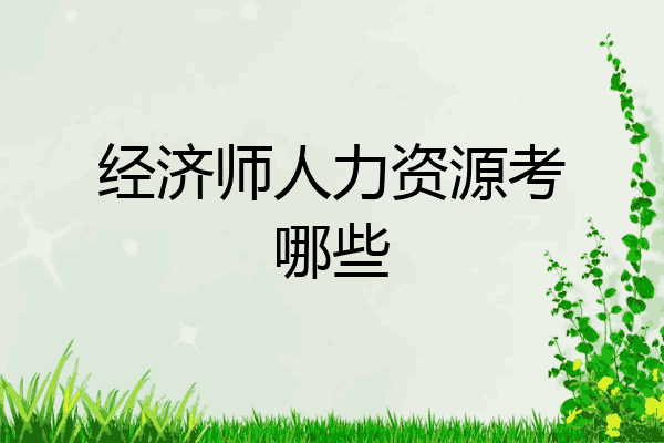 经济师人力资源考哪些
