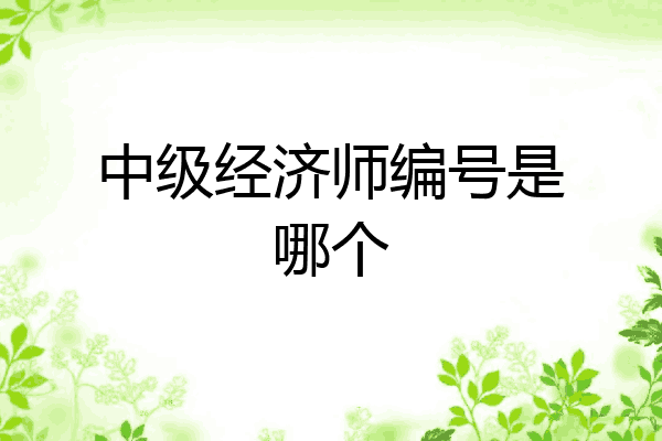 中级经济师编号是哪个