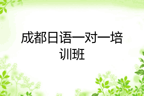 成都日语一对一培训班