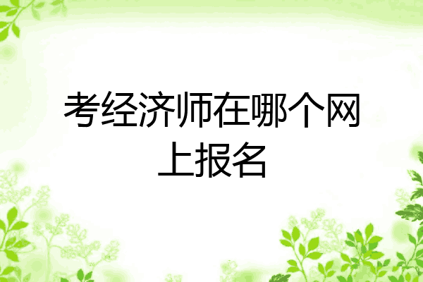 考经济师在哪个网上报名
