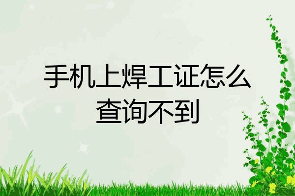 手机上焊工证怎么查询不到