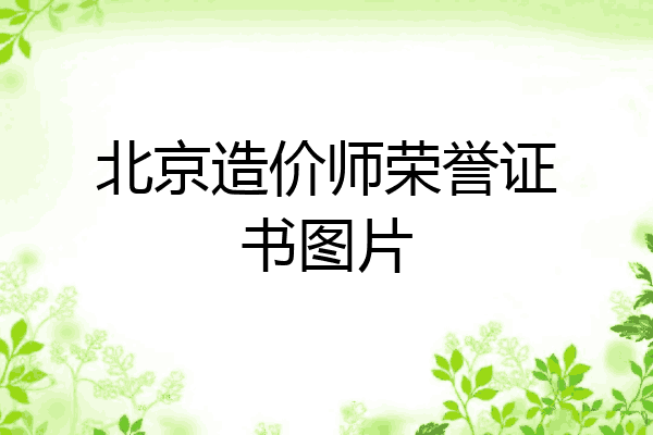 北京造价师荣誉证书图片