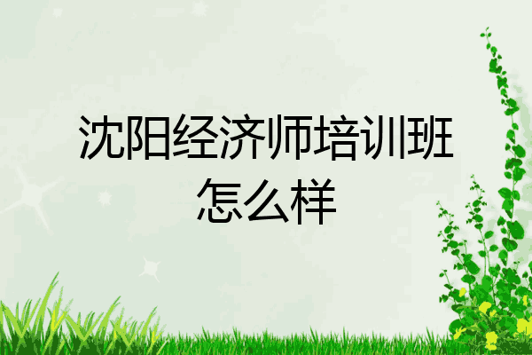 沈阳经济师培训班怎么样