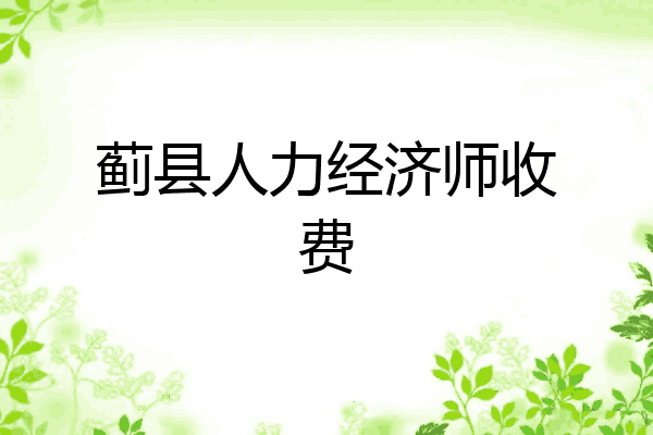 蓟县人力经济师收费