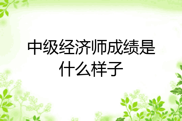 中级经济师成绩是什么样子