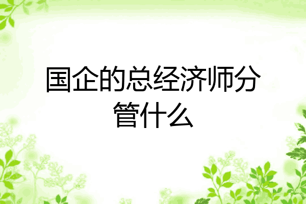 国企的总经济师分管什么