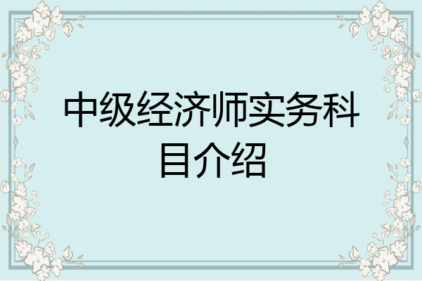 中级经济师实务科目介绍