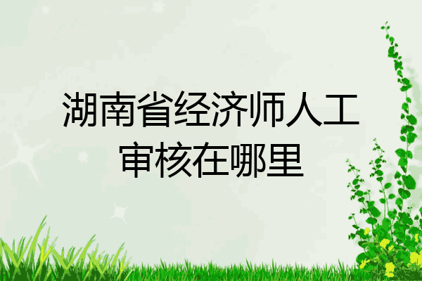 湖南省经济师人工审核在哪里