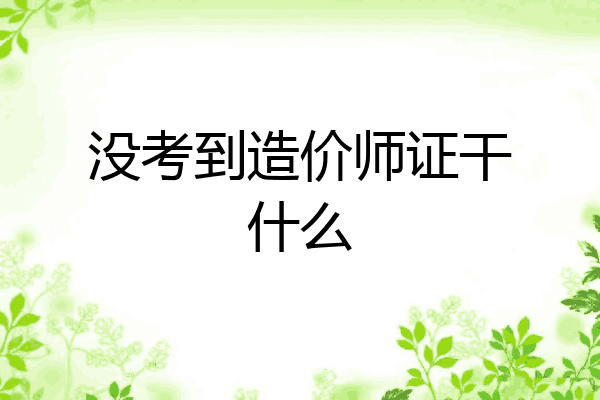 没考到造价师证干什么