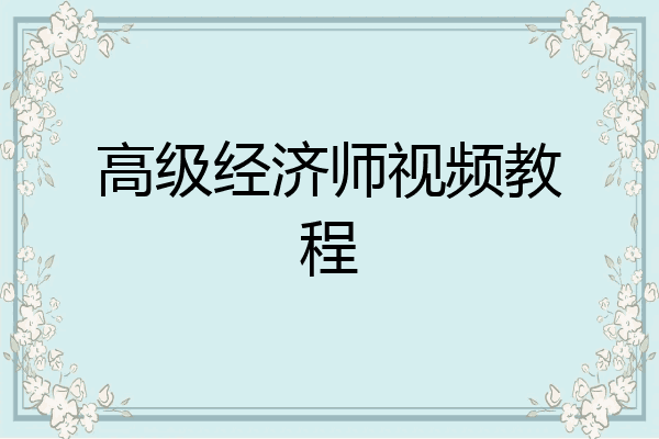 高级经济师视频教程