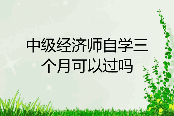 中级经济师自学三个月可以过吗
