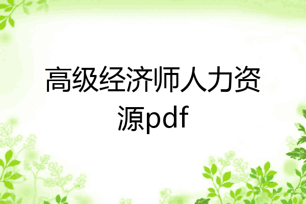 高级经济师人力资源pdf