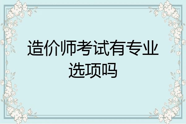 造价师考试有专业选项吗