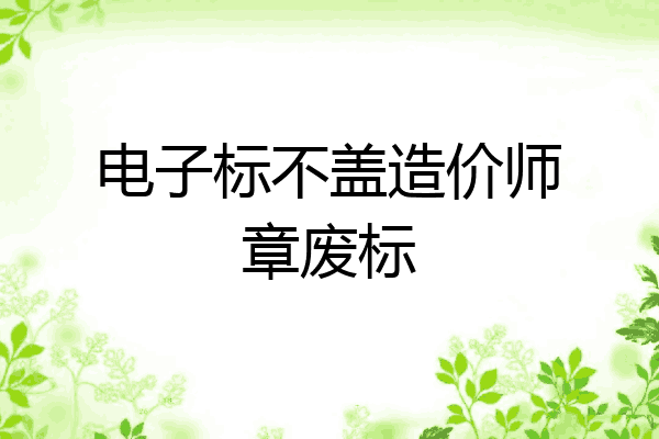 电子标不盖造价师章废标