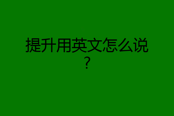 提升用英文怎么说?