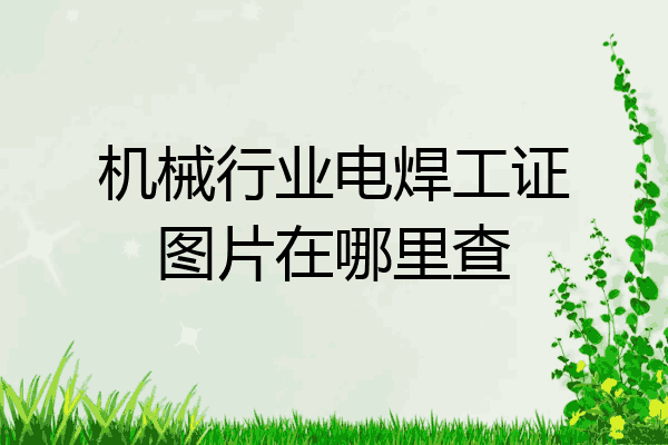 机械行业电焊工证图片在哪里查