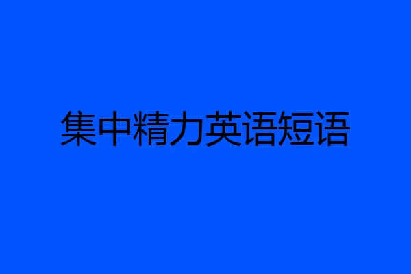 集中精力英语短语