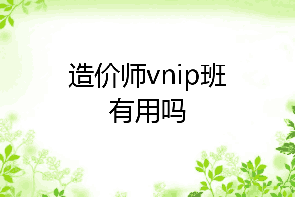 造价师vnip班有用吗
