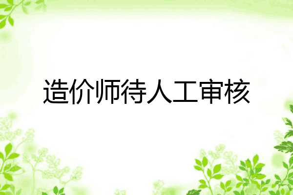 造价师待人工审核