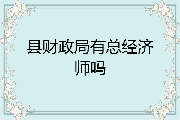 县财政局有总经济师吗