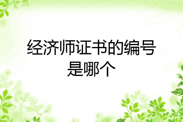 经济师证书的编号是哪个