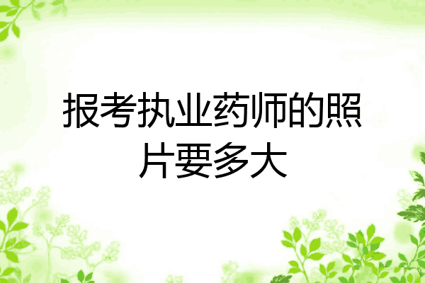 报考执业药师的照片要多大