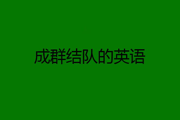 成群结队的英语