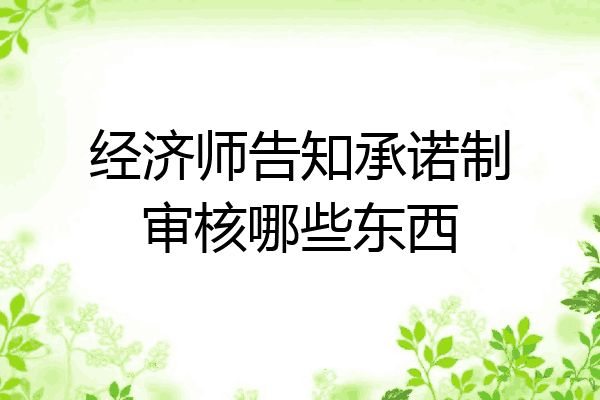 经济师告知承诺制审核哪些东西