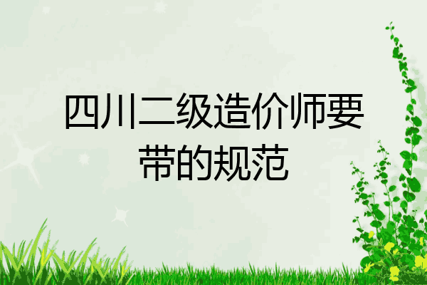 四川二级造价师要带的规范