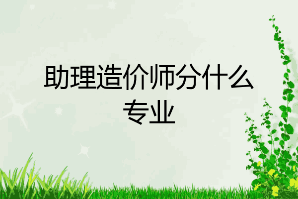 助理造价师分什么专业