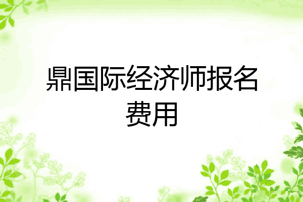 鼎国际经济师报名费用