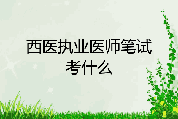 西医执业医师笔试考什么