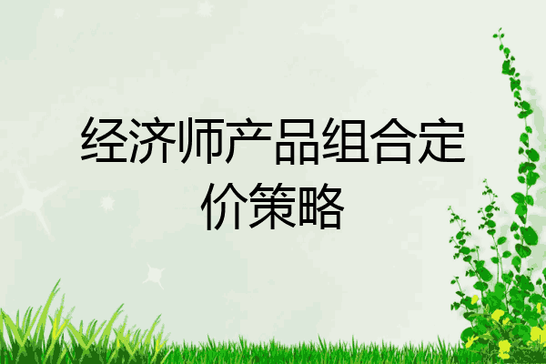 经济师产品组合定价策略