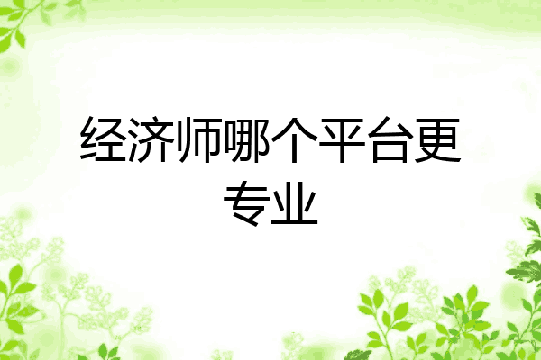 经济师哪个平台更专业