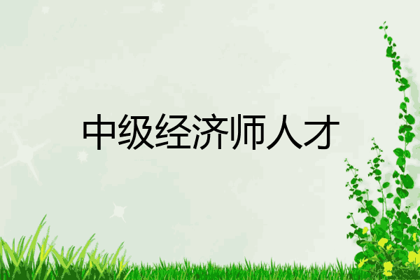 中级经济师人才