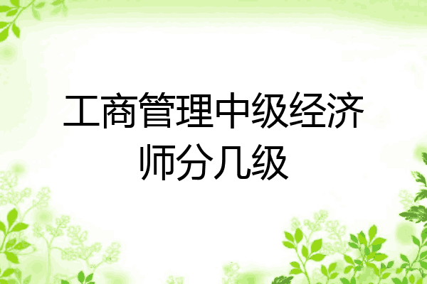 工商管理中级经济师分几级