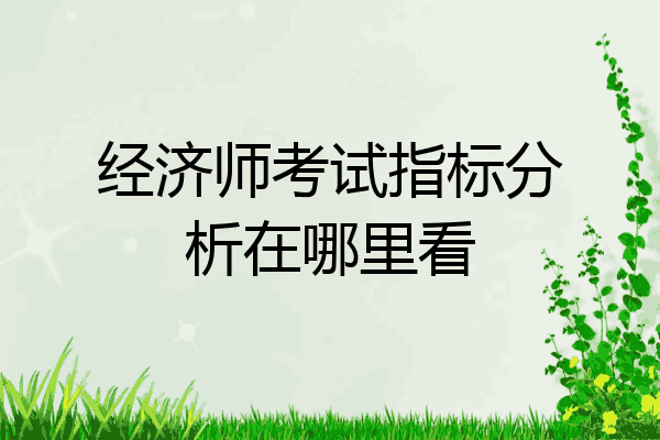 经济师考试指标分析在哪里看